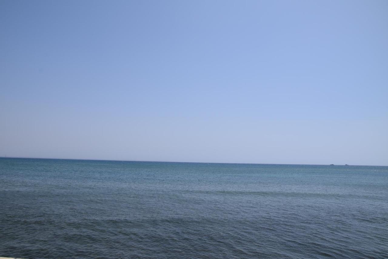 شقة Sea Krystel 603 لارنكا المظهر الخارجي الصورة